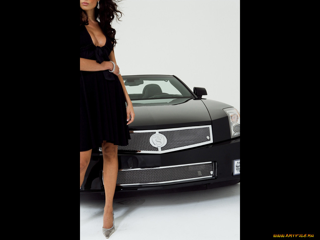 strut, cadillac, xlr, monterey, , , 